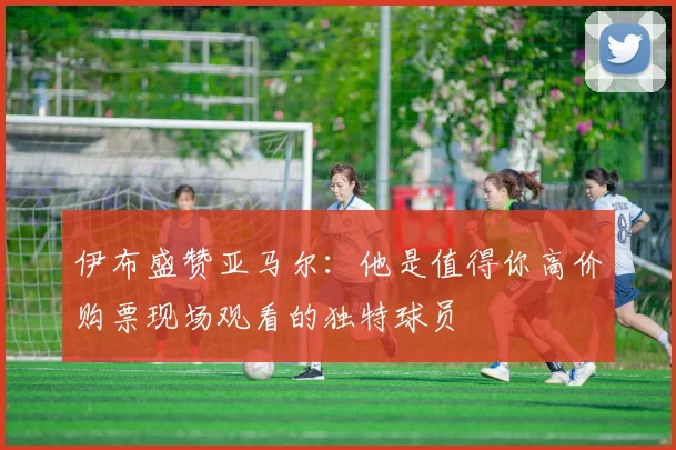 伊布盛赞亚马尔：他是值得你高价购票现场观看的独特球员