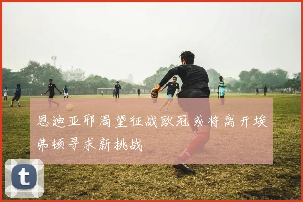 恩迪亚耶渴望征战欧冠或将离开埃弗顿寻求新挑战